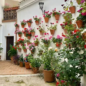 amal-casa-de-huspedes.es-andalucia.com/